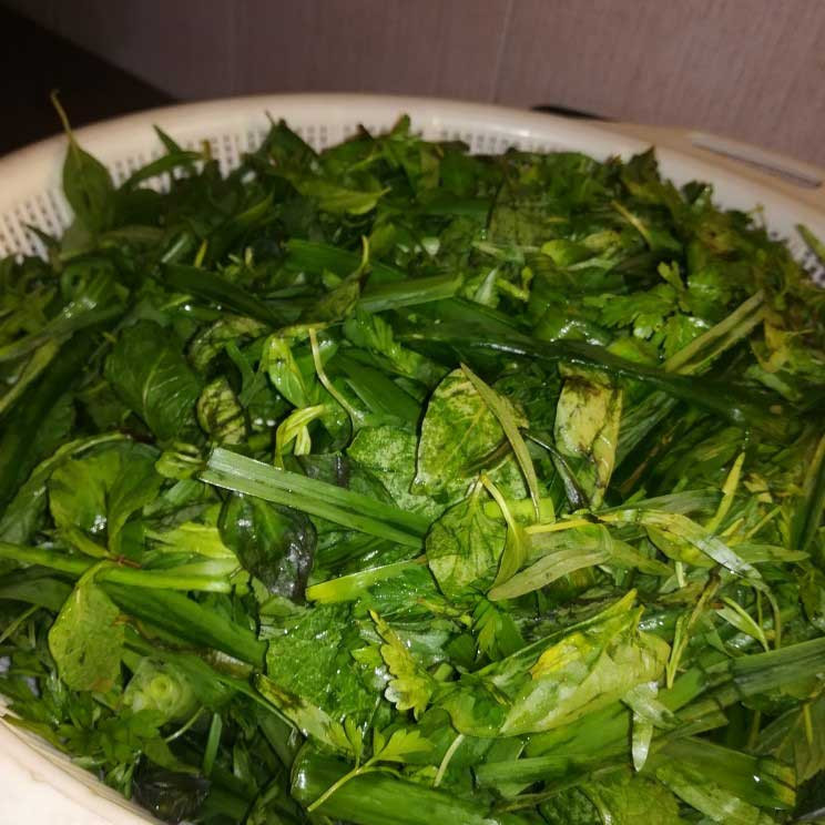 خدمات خیریه
