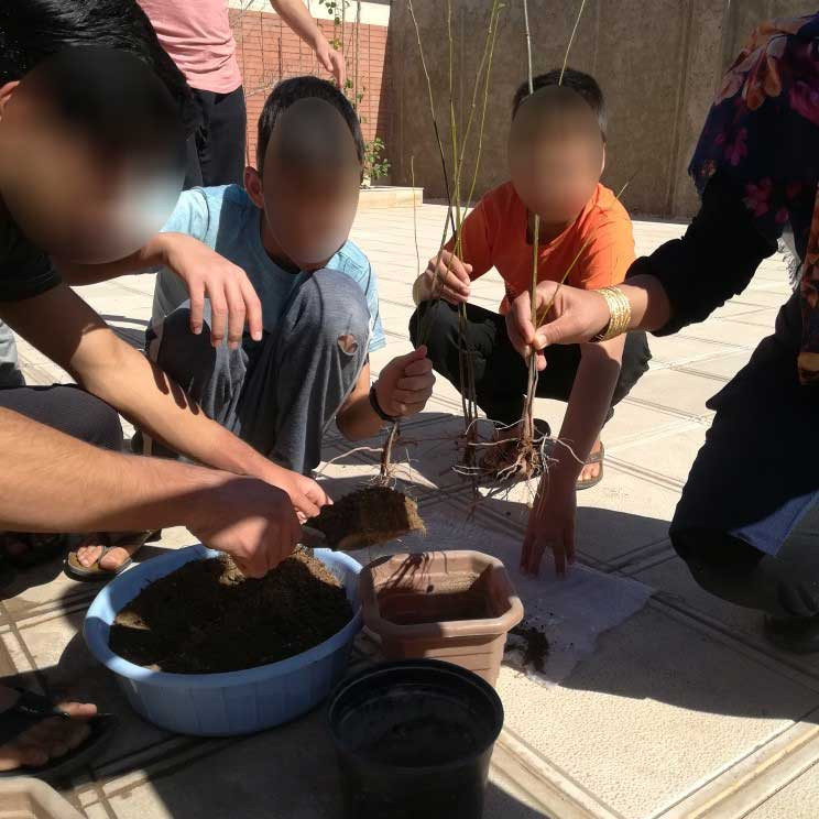روز درختکاری