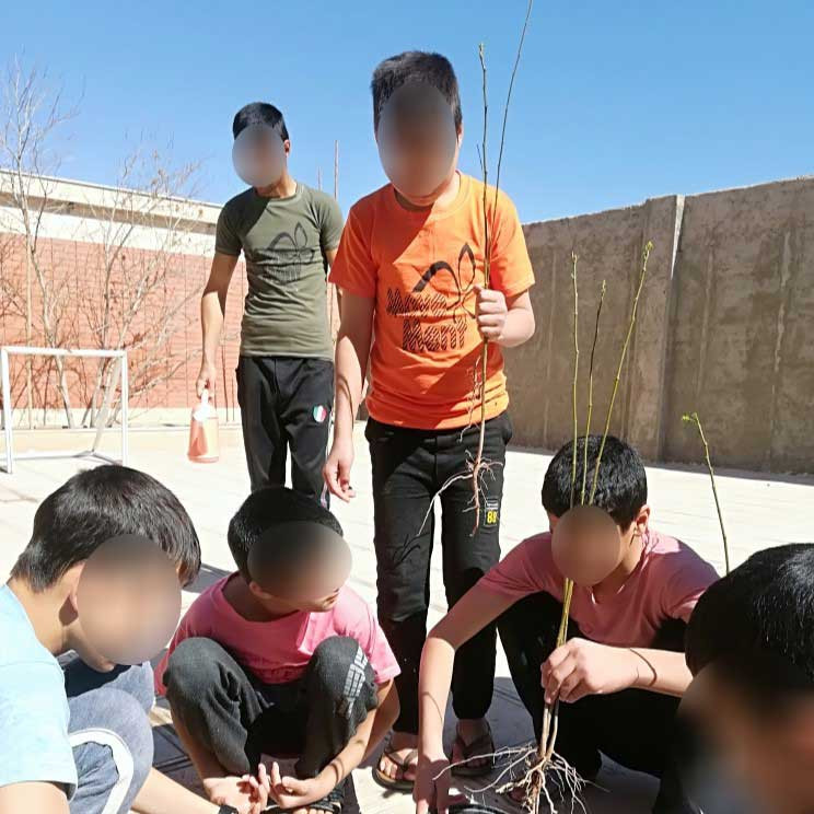 روز درختکاری