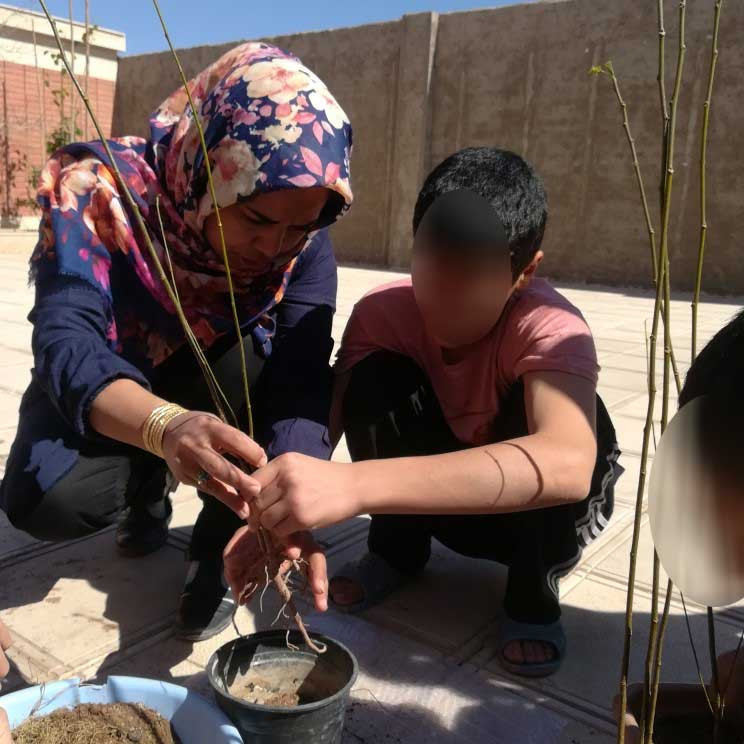 روز درختکاری
