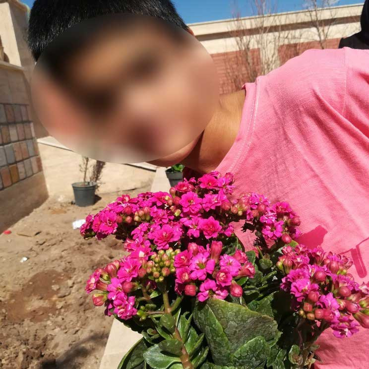 روز درختکاری